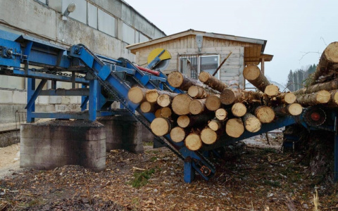 Работника на предприятии зажало бревном: его начальник заплатит за это