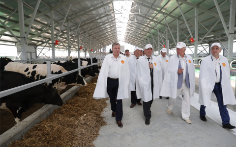 В Вурнарском районе открыли коровник за 105 миллионов рублей