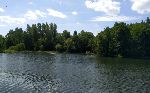 В Ботаническом пруду нашли тело молодого мужчины