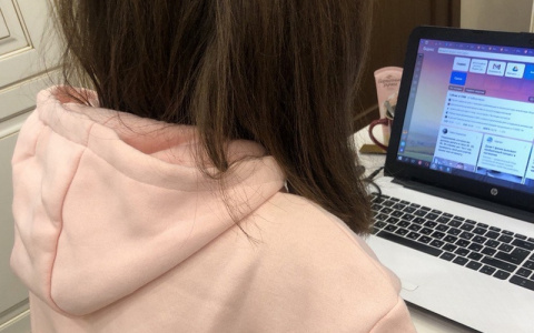 Жительница Канаша купила билеты на самолет по объявлению, но в итоге никуда не улетела