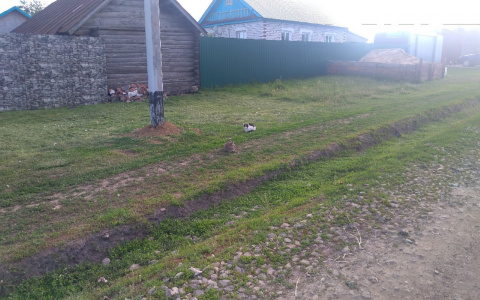 В Канашском районе искали одного пропавшего, но нашли другого: "Не мог выбраться из лесополосы"