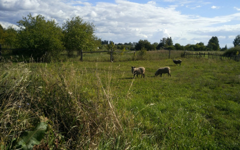 В Чувашии 15 деревень давно исчезли, но пока остались на бумаге