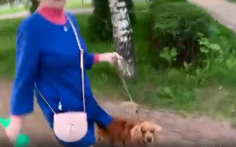 В Чебоксарах собака на глазах хозяйки покусала 9-летнего мальчика: "Пусть не бегает"