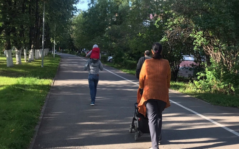 Названы районы Чувашии, где чаще всего рождаются двойняшки