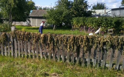 В Чувашии соседи судились за границу участка, а в итоге стали должны государству по 20-30 тысяч рублей
