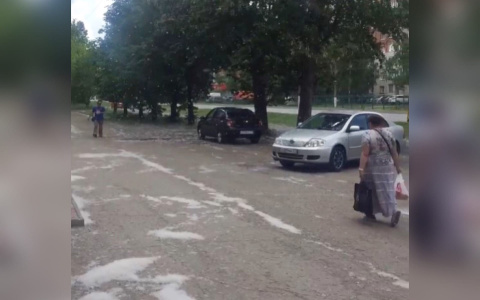 Жители Чебоксар недовольны завалами тополиного пуха: “Как будто у нас сейчас не лето, а зима”