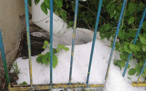 На Алатырь обрушился мощный град: "Пострадали бахчевые культуры, все белым-бело"