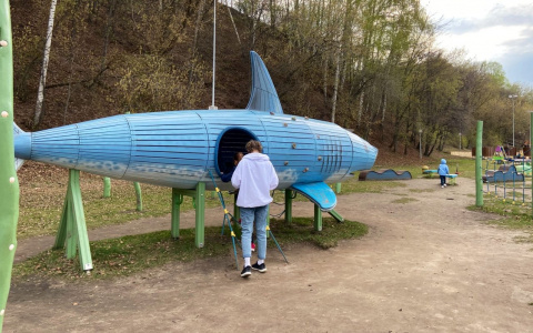 Обнародована дата начала приема заявок по выплатам на детей-школьников