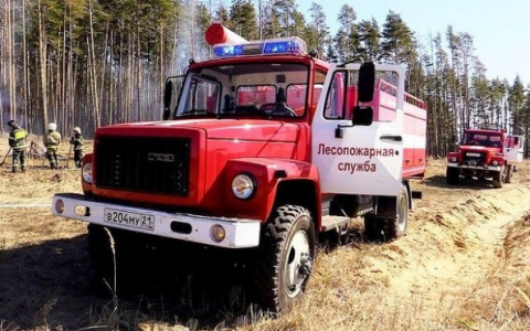 В Чувашии ввели запрет на посещение лесов