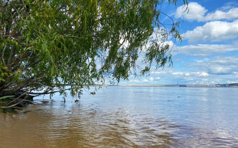 В районе базы отдыха утонул 33-летний мужчина