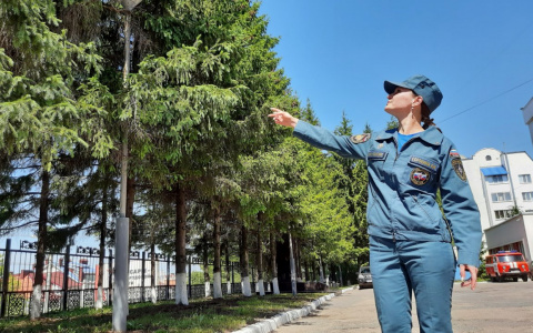 В Чебоксарах четыре квартиры загорелись от молний: в МЧС рассказали, как выжить в грозу