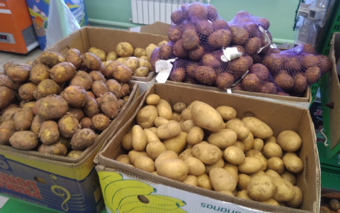 Чувашия находится на 10-м месте по стоимости картошки среди регионов
