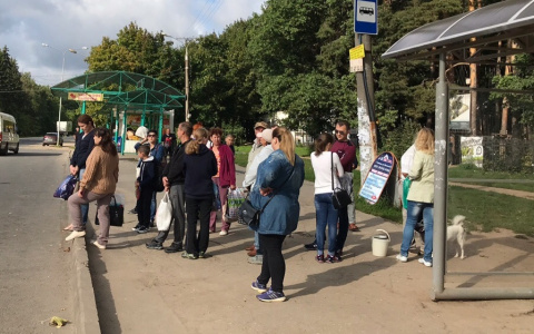 Как чебоксарцам добраться до кладбища на Троицу: будут три маршрута и строгие правила