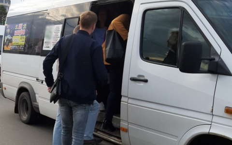 Стал известен особый график автобусов на Троицу до кладбища