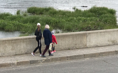 Минтруд напомнил о сроках подачи заявления на выплату на детей-школьников