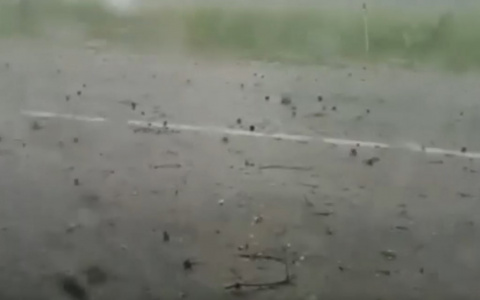 На Урмарский район обрушился град с ливнем