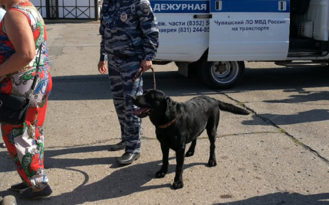 Мужчина из Чувашии уехал на заработки, а родственники объявили его в розыск