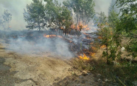 Пожар у базы отдыха "Прометей" произошел по вине отдыхающих