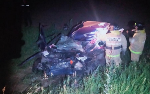 Два человека погибли при столкновении легковушки и КамАЗа в Аликовском районе