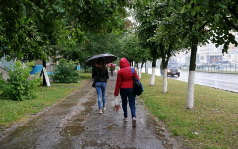 На этой неделе в Чувашию придет прохлада и ливни: сколько продлится передышка от 30-градусной жары