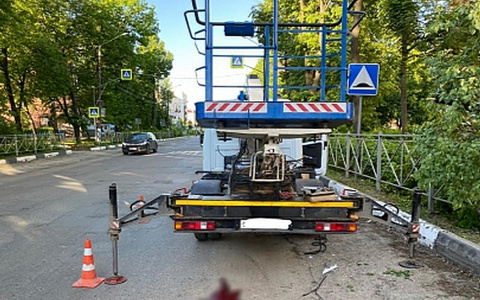 В Канаше на электромонтера упало дерево, он погиб: началось расследование