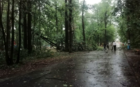 Непогода в Чувашии повредила автомобили, снесла крыши и оставила без света тысячи домов