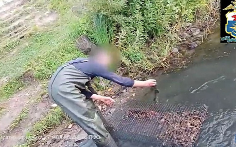 Два браконьера ответят за ловлю раков в Чувашии