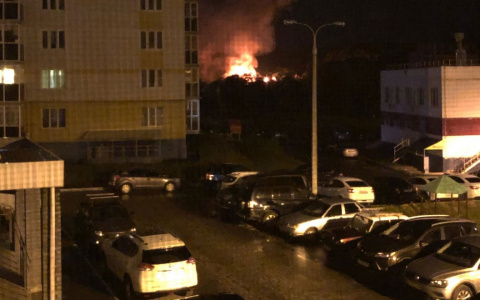 В Чебоксарах загорелись дачные дома