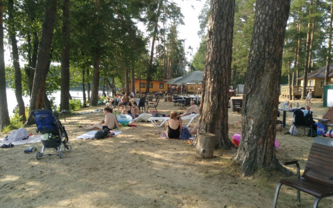 В Гидрометцентре Чувашию назвали среди регионов, где большой дефицит дождей