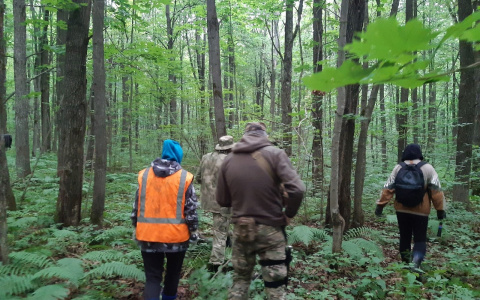 Женщина ушла в лес на "тихую охоту" и пропала: дома ее не видели три дня