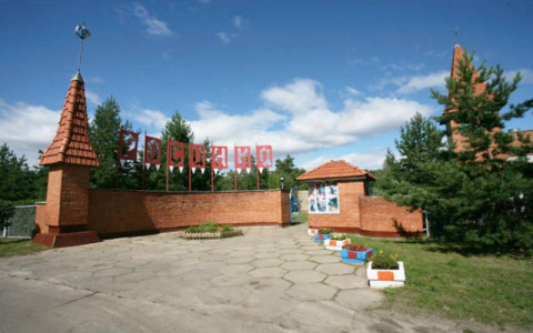 В Чувашии опасный вирус добрался до детских лагерей: выявлено три случая заражения