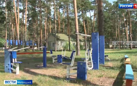 Николаев о запрете родительских дней в лагерях: "Если вы не можете не посещать, наверное, вообще не надо отправлять детей"