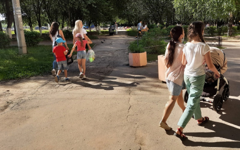 Николаев указом освободил многодетных от одного налога