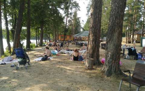 Посещать кинотеатры только привитым, удаленка, закрытие кафе: коронавирусные ограничения в соседних регионах