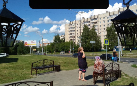 Путь к мечте: треть россиян на пенсии планируют освоить творческую профессию