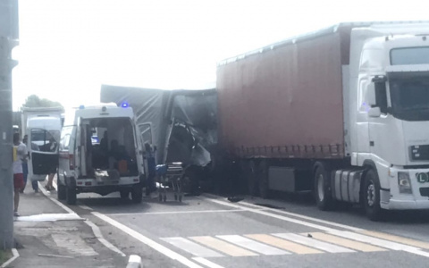 На трассе в Козловском районе ГАЗель столкнулась с фурой