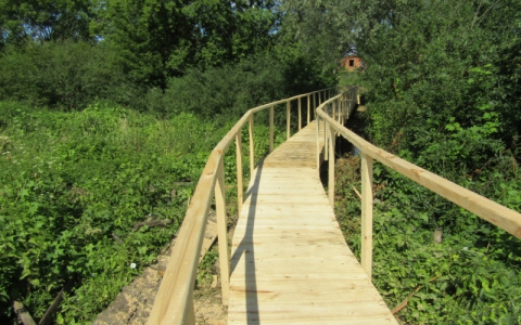 В Чувашии чиновники собрали деньги с сельчан и построили деревянный мост за полмиллиона рублей