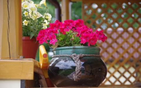 Банк «Открытие»: «Каждый пятый житель ПФО планирует обзавестись загородной недвижимостью»