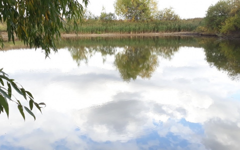 В Моргаушском районе мужчина утонул в свой день рождения на глазах гостей праздника