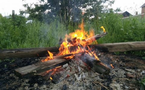 МЧС предложило разрешить сжигание травы на даче