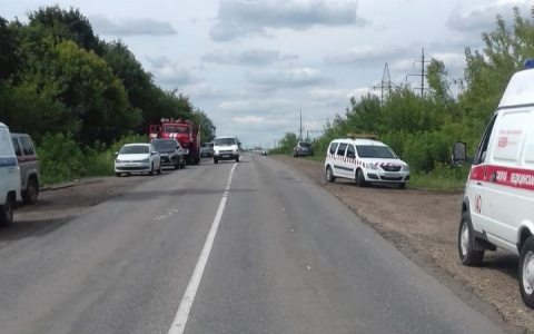 В Канаше полиция и Росгвардия оцепили полигон с мусором: "Говорят, нашли мину"