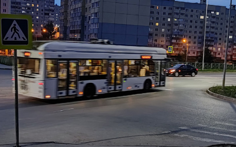 В Чувашии выделили 20 млн рублей на новую транспортную реформу