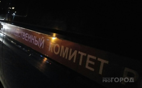 В Алатыре завели уголовное дело по факту гибели ребенка и установили причину пожара