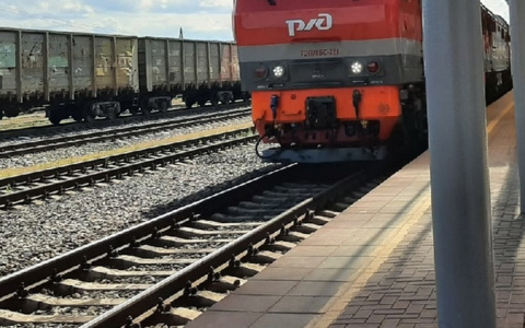 В Чувашии поймали мальчика-пастуха, который подкладывал камни на рельсы