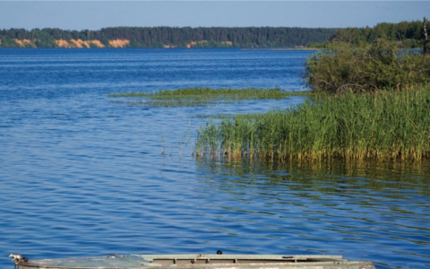 Мужчина уснул в лодке и отправился в неконтролируемое плавание по Волге