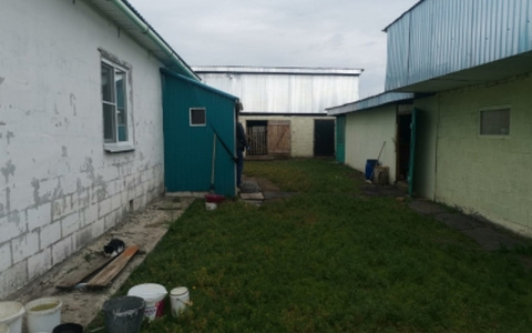 Приемная дочь приревновала отчима к сводной сестре и убила его