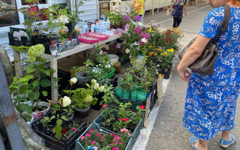 Местных фермеров освободят от арендной платы на рынках Чебоксар