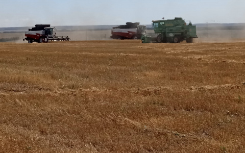 Банк «Открытие» выступил партнером «Всероссийского дня поля-2021»