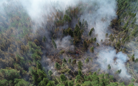 В Чувашии горит Присурский заповедник