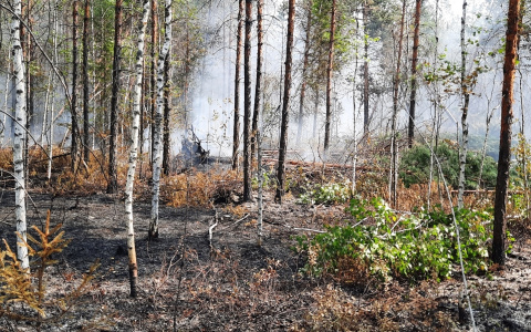 МЧС Чувашии выпустило предупреждение на четыре дня
